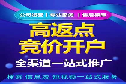 百度推广代运营案例：案例分享：传统行业逆袭之路